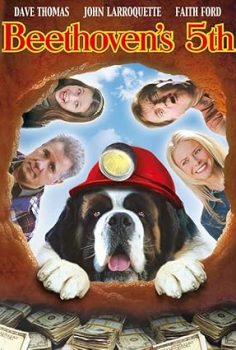 Afacan Köpek Beethoven 5