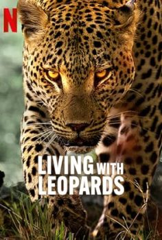 Leoparlarla Yaşam